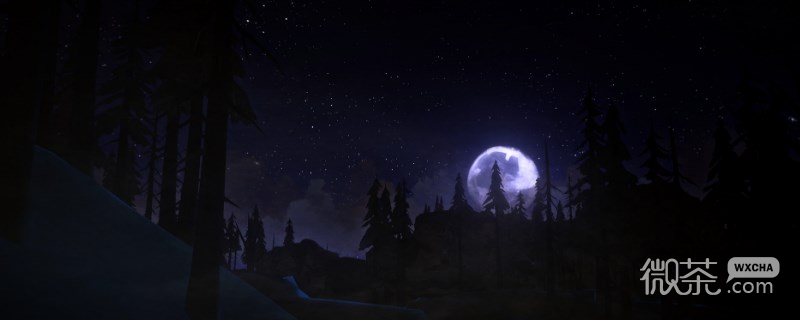 漫漫长夜强心针用途一览