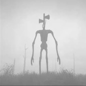 暗夜大作战版