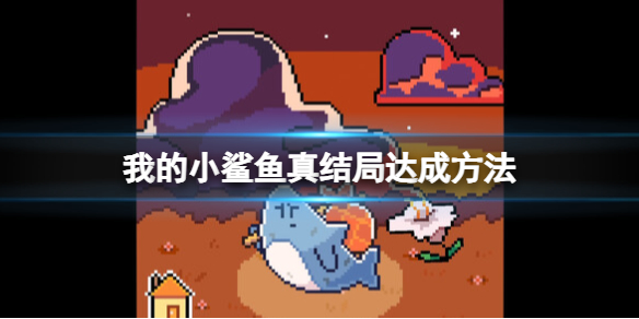 《我的小鲨鱼》真结局达成方法