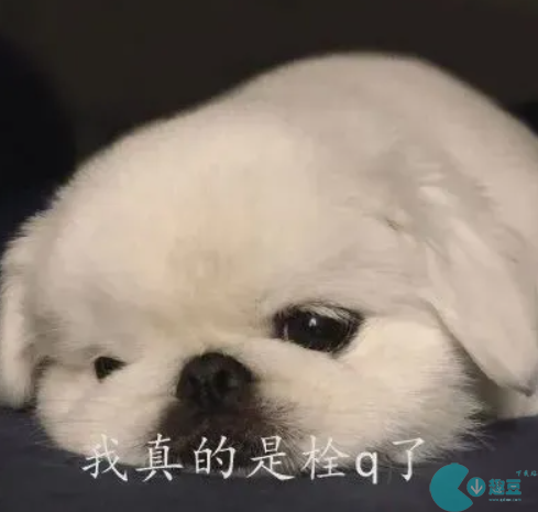 拴q是啥意思