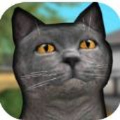 猫舍模拟器下载安装