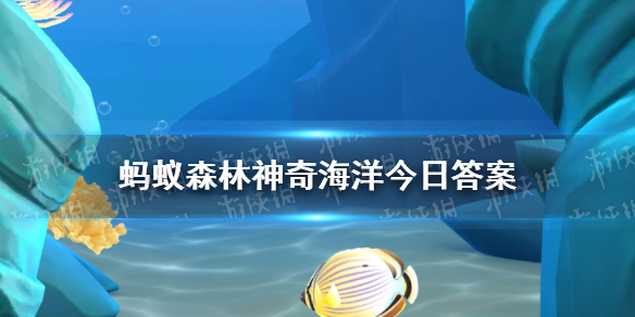 鲯鳅是水下狐狸海洋生物吗 水下狐狸神奇海洋答案