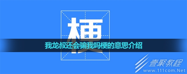 我龙叔还会骗我吗梗含义介绍