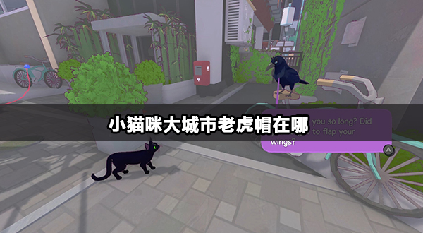 小猫咪大城市老虎帽在哪