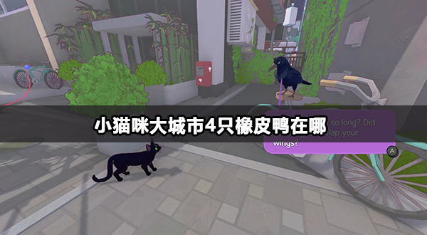 小猫咪大城市4只橡皮鸭在哪