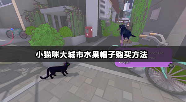 小猫咪大城市水果帽子在哪买