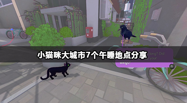 小猫咪大城市7个午睡地点分享