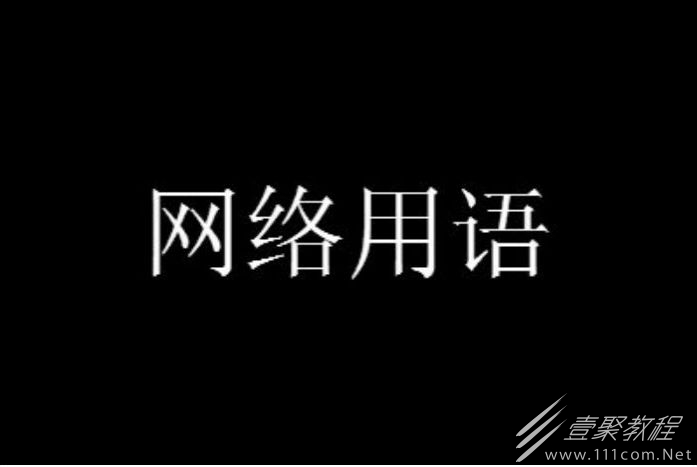 主打的就是一个陪伴是什么梗一览
