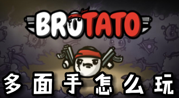Brotato多面手怎么玩