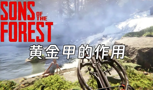 森林之子黄金甲有什么作用