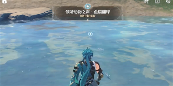 鸣潮倾听动物之声鱼语翻译怎么做