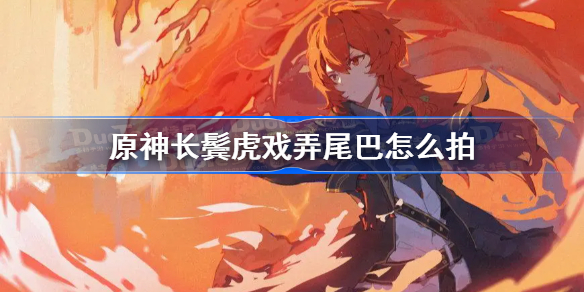原神长鬓虎戏弄尾巴怎么拍-原神长鬓虎戏弄尾巴拍摄攻略