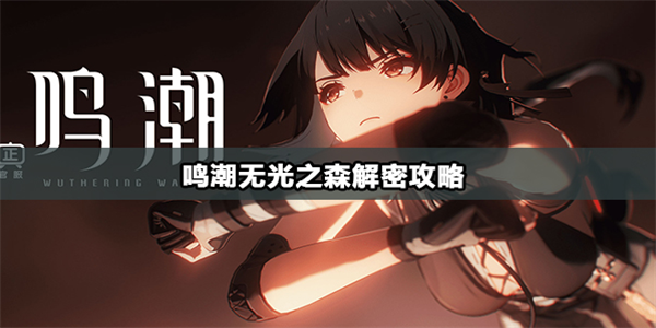 鸣潮无光之森怎么解密