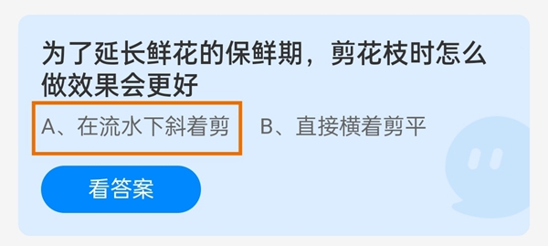 为了延长鲜花的保鲜期