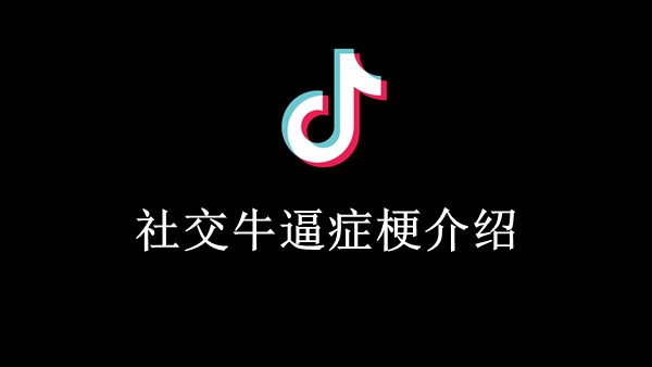 社交牛逼症梗介绍