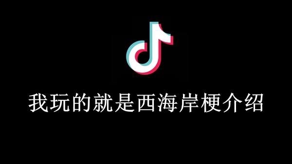 我玩的就是西海岸梗介绍