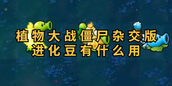 植物大战僵尸杂交版进化豆有什么用