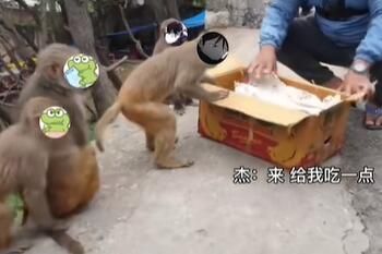故氏点外卖是梗是什么意思