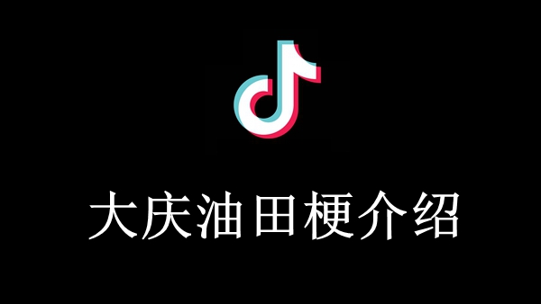 大庆油田梗介绍
