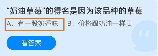 “奶油草莓”的得名是因为该品种的草莓
