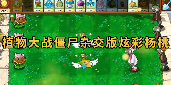 植物大战僵尸杂交版炫彩杨桃有什么用