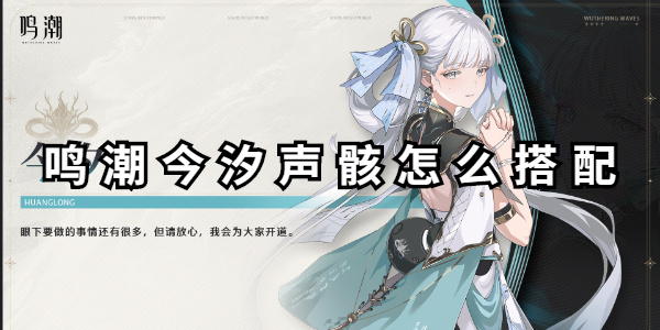 鸣潮今汐声骸怎么搭配