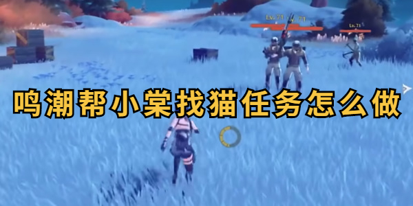 鸣潮帮小棠找猫任务怎么做