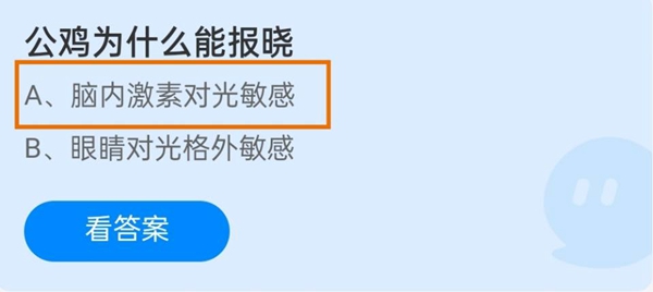 公鸡为什么能报晓