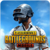 PUBG Mobile国际服中文版