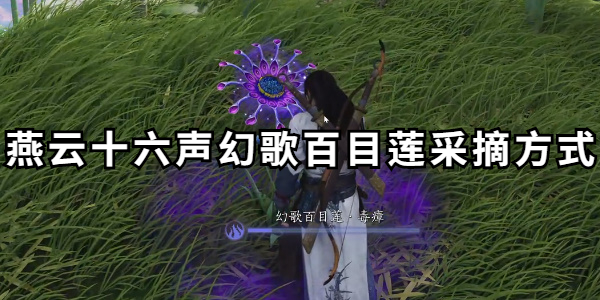 燕云十六声幻歌百目莲采摘方式