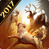 猎鹿人2016手机版