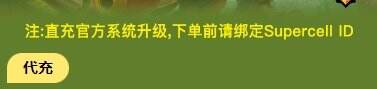 海外游戏玩家必看！荒野乱斗国际服充值价格分享