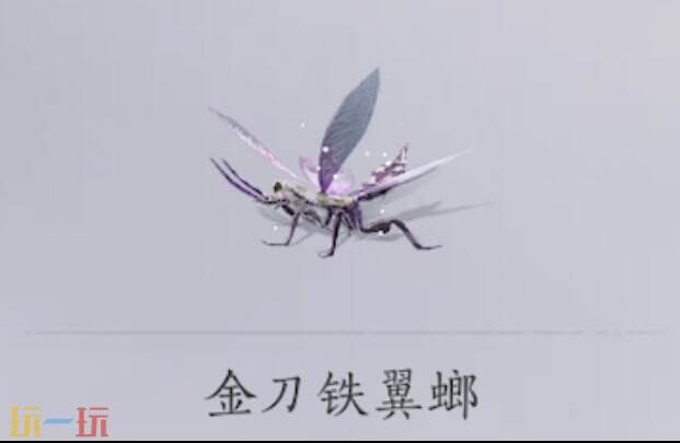 燕云十六声清河蹊跷获取攻略：金刀铁翼螂捕捉小技巧