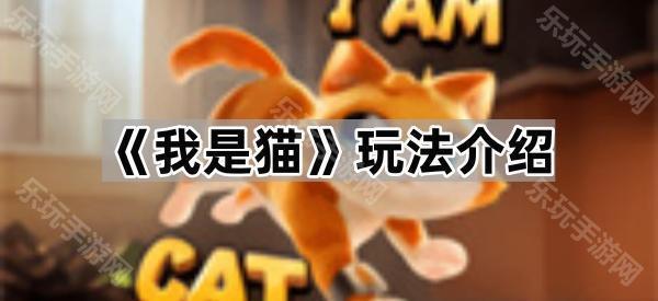我是猫玩法介绍
