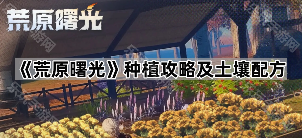 荒原曙光种植攻略及土壤配方