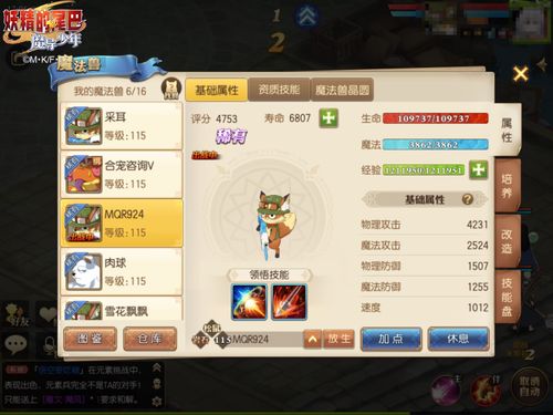卡包修仙新手应该如何选择流派？