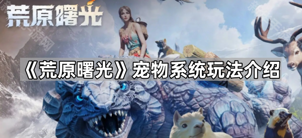 荒原曙光宠物系统玩法介绍