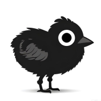 小鸡专注学习