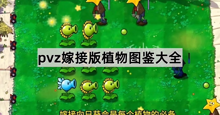 植物大战僵尸嫁接版植物图鉴大全