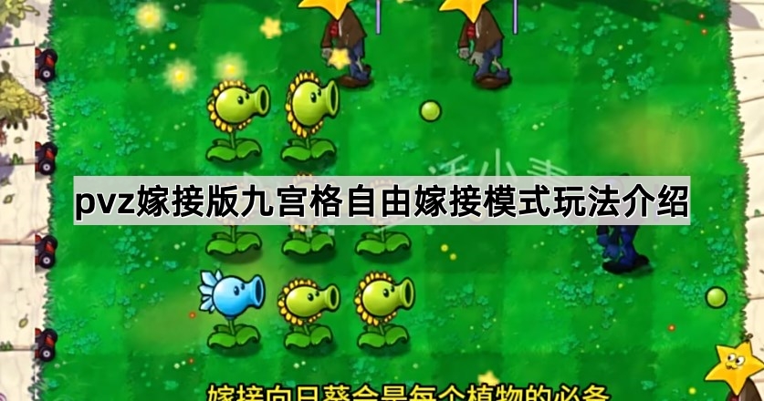 植物大战僵尸嫁接版九宫格自由嫁接模式玩法介绍