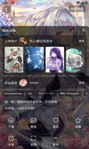 花火壁纸
