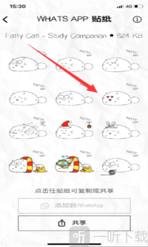 fatty cat官方版