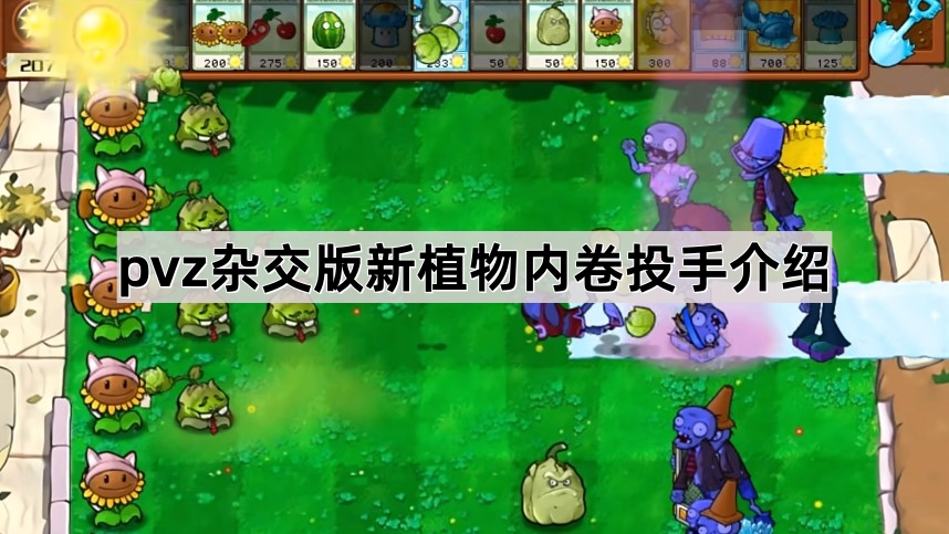 植物大战僵尸杂交版新植物内卷投手介绍