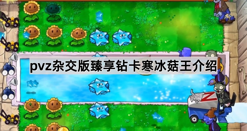 植物大战僵尸杂交版臻享钻卡寒冰菇王介绍