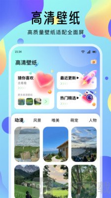 海豚壁纸
