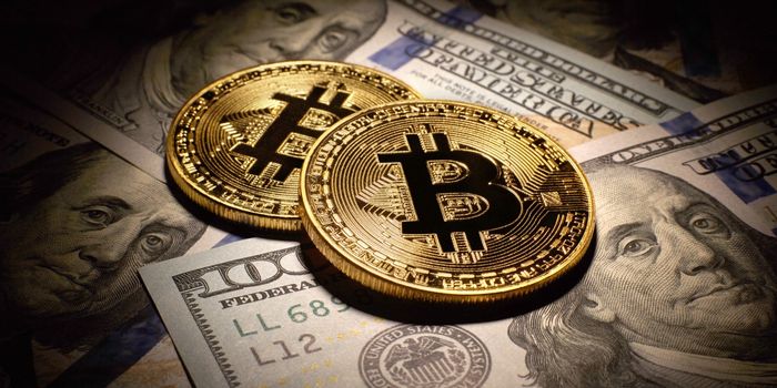 tokeninsight btc