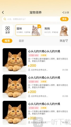 喵鑫球宠物
