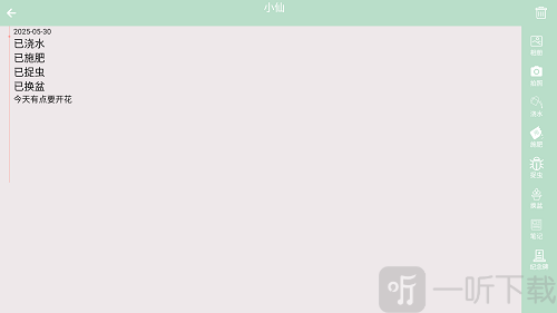 多肉花草成长日记