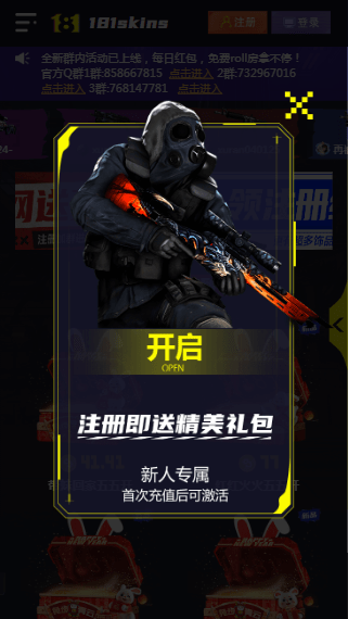 181SKINS