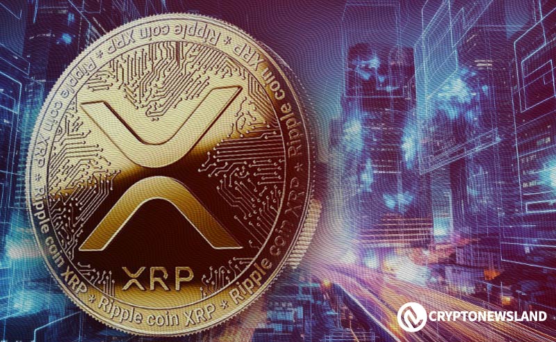 瑞波高管澄清XRP与公司之间的区别
